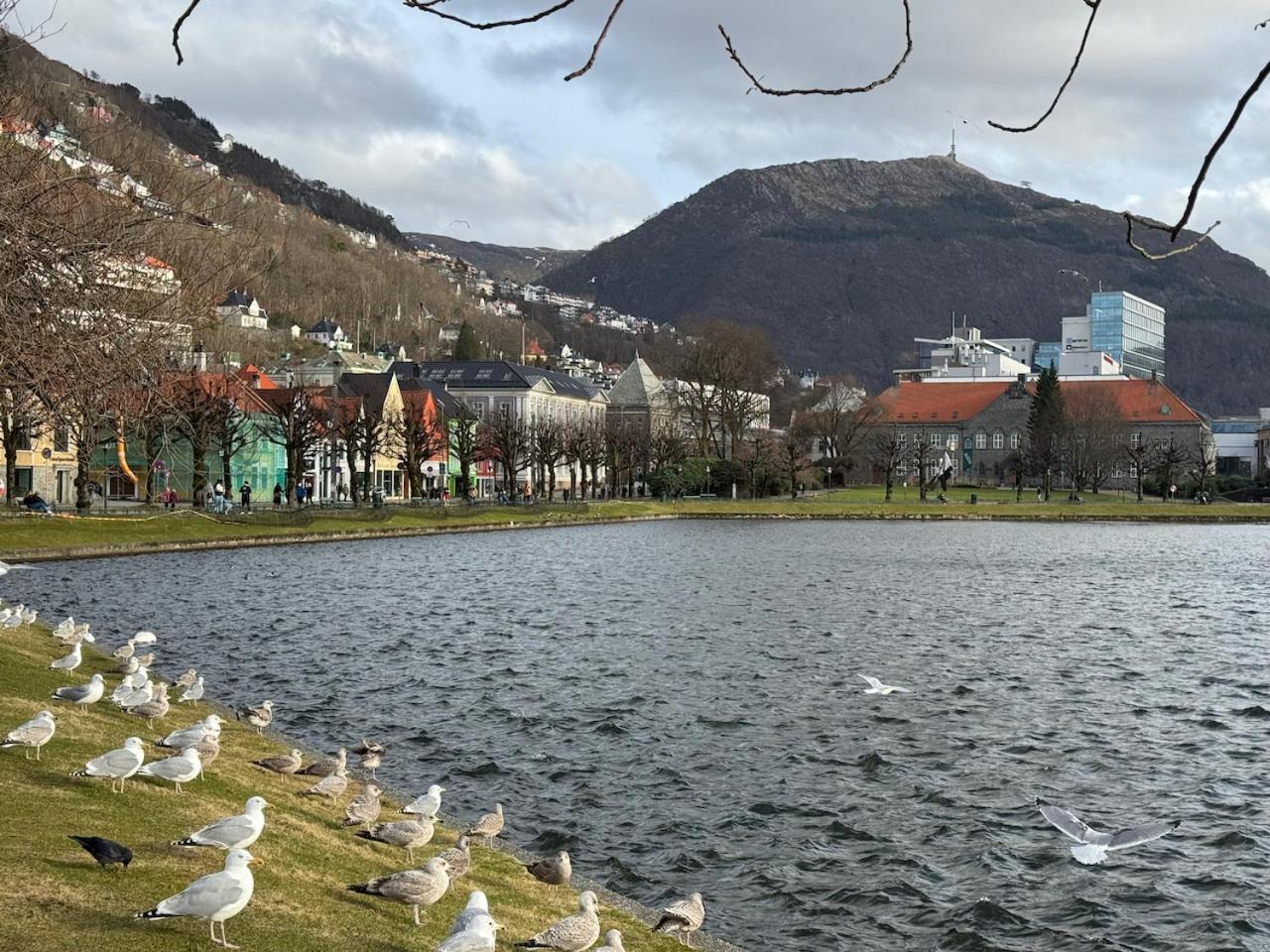 Apartment View In Center Of - 3 Bedrooms *