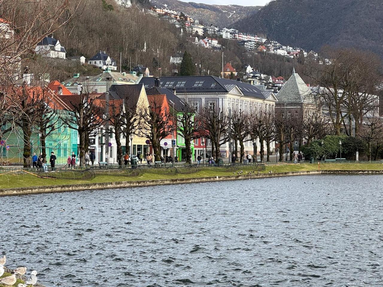 View In Center Of - 3 Bedrooms Apartment Bergen